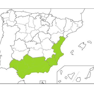 Ernesto Damián, comercial de la Zona Levante y Andalucia