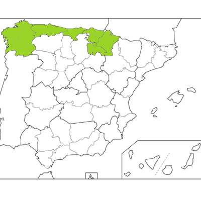 Juanfer Azcona, comercial de la Zona Norte